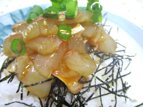 taimeshi-nama.JPG