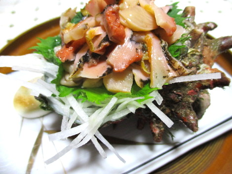 サザエの定番レシピ さざえの刺身 魚料理の簡単 おいしいレシピ集