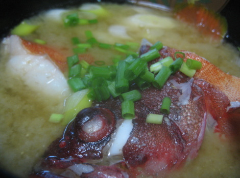 魚料理の簡単レシピ アカハタのの味噌汁 魚料理の簡単 おいしいレシピ集