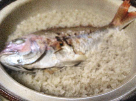 鯛めしのおいしいレシピ 土鍋で鯛めし 魚料理の簡単 おいしいレシピ集