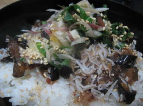 jyakotonasunodonnburi.JPG