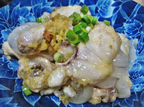 tainokaraage-remonnannkake.JPG